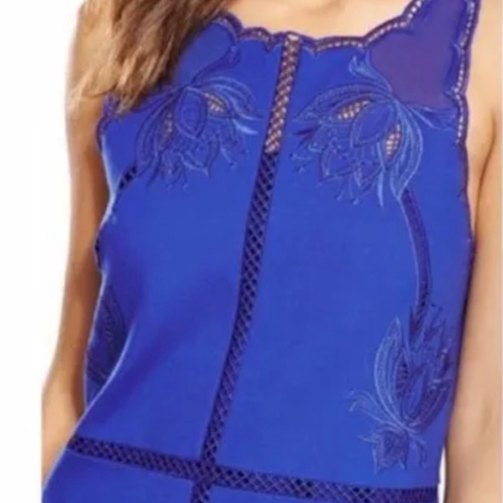 Ted Baker London Beautiful Blue Dress Sz 3 NWT